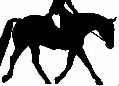 A horse clearly lifting the base of the neck in a f-d-o stretch