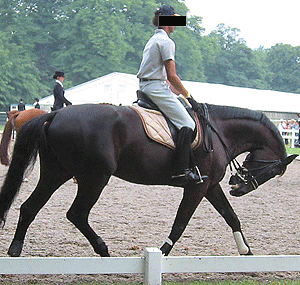 Warming up deep in 2005