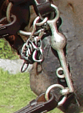 The curb chain runs under the chin