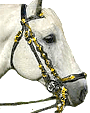 Spanish Bridle